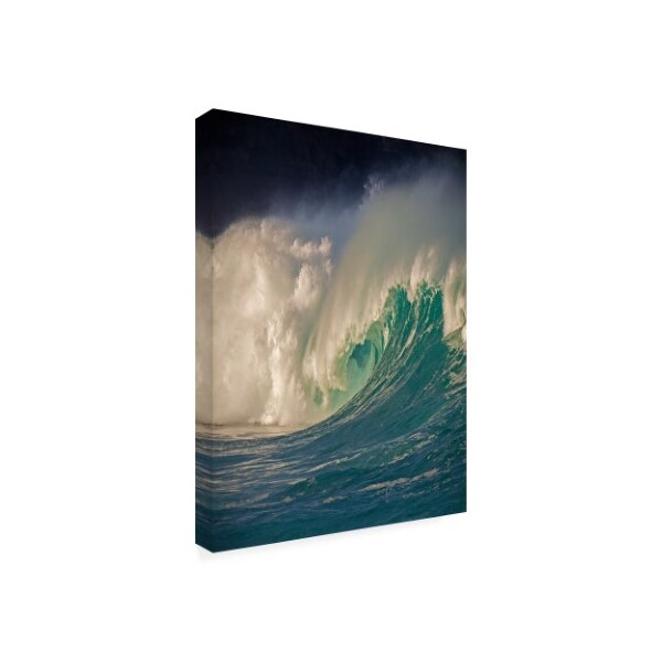 Alan Klu 'Waimea, Oahu' Canvas Art,14x19